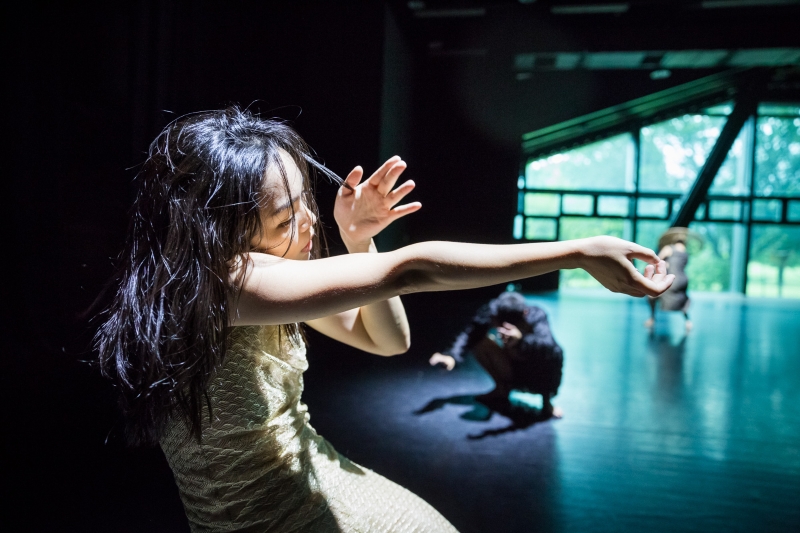 雲門２ 捕夢｜財團法人雲門文化藝術基金會｜國藝會補助成果檔案庫