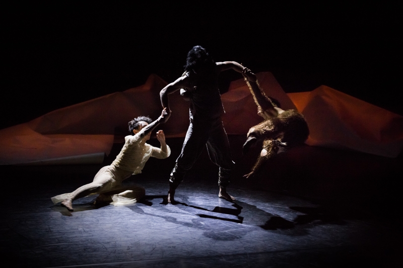 雲門２ 捕夢｜財團法人雲門文化藝術基金會｜國藝會補助成果檔案庫