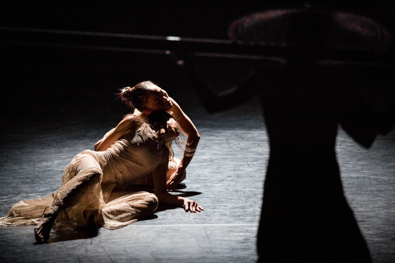 雲門２ 捕夢｜財團法人雲門文化藝術基金會｜國藝會補助成果檔案庫