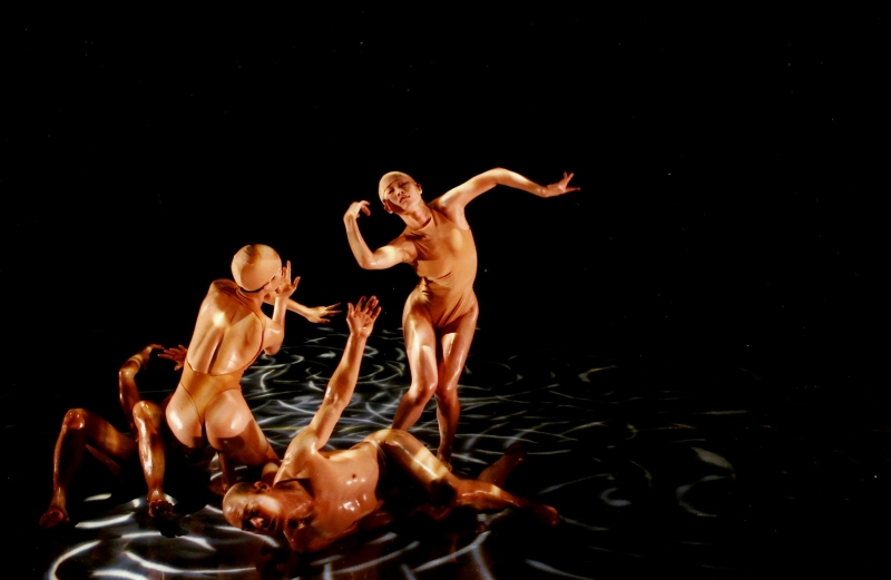 光環舞集《2011組曲:陂塘》新作巡迴 / 光環舞集舞蹈團｜光環舞集舞蹈團｜國藝會補助成果檔案庫