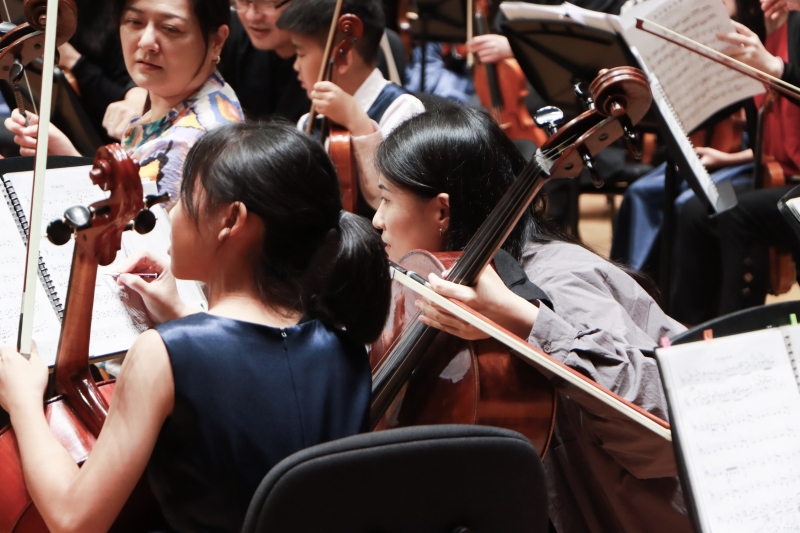 2025台灣絃樂團絃樂經典音樂會｜台灣絃樂團｜國藝會補助成果檔案庫