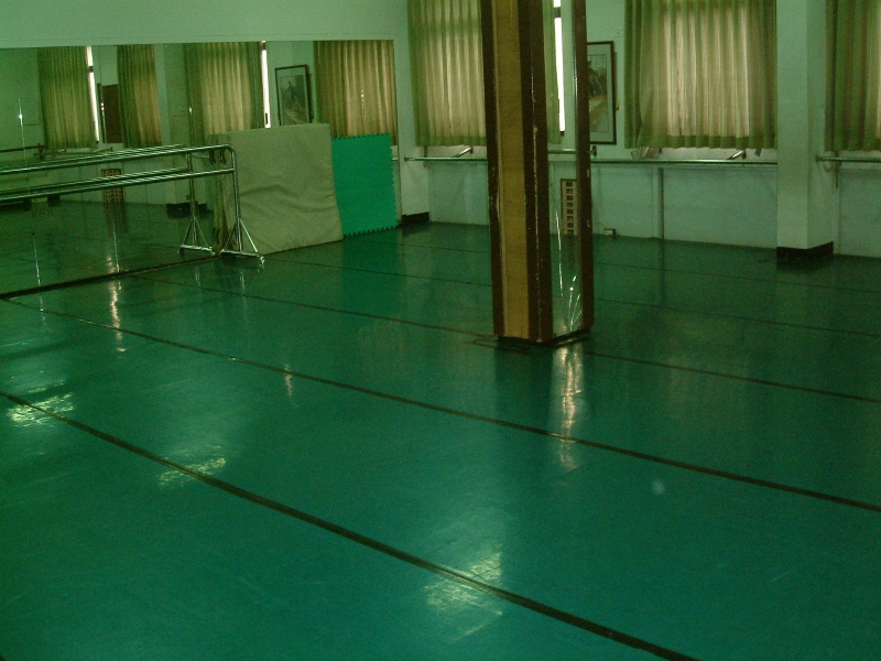 95年高雄城市芭蕾舞團排練場所補助計畫｜高雄城市芭蕾舞團｜國藝會補助成果檔案庫
