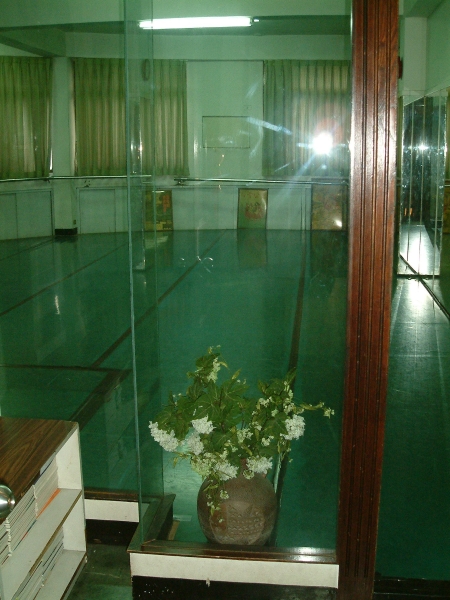 95年高雄城市芭蕾舞團排練場所補助計畫｜高雄城市芭蕾舞團｜國藝會補助成果檔案庫