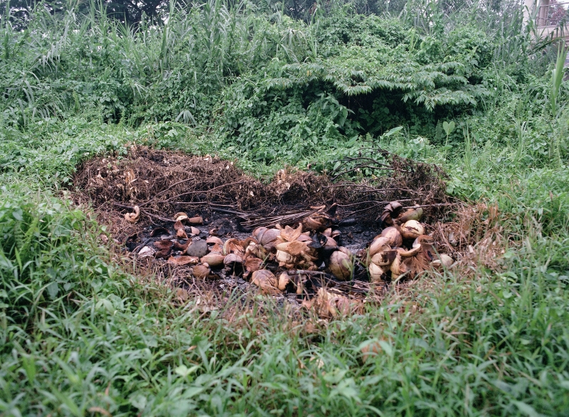 刺刺的河｜陳含瑜｜國藝會補助成果檔案庫
