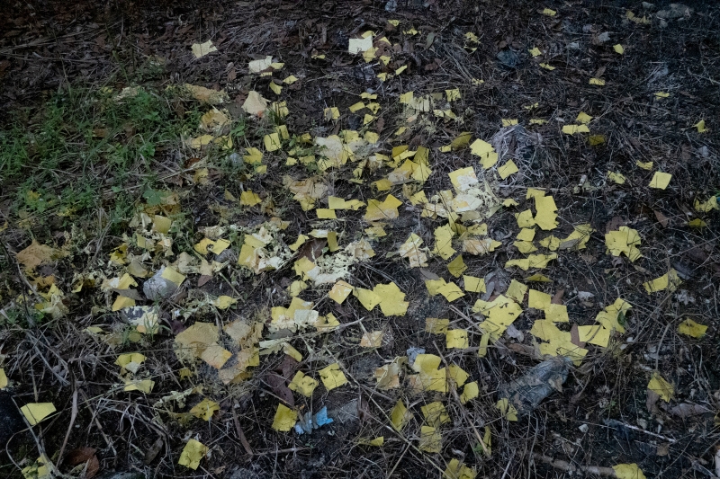 刺刺的河｜陳含瑜｜國藝會補助成果檔案庫