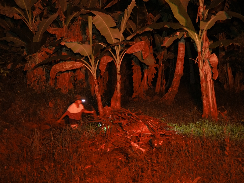 刺刺的河｜陳含瑜｜國藝會補助成果檔案庫