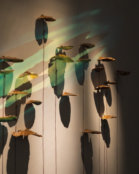 「三個太陽」個展｜胡農欣｜國藝會補助成果檔案庫