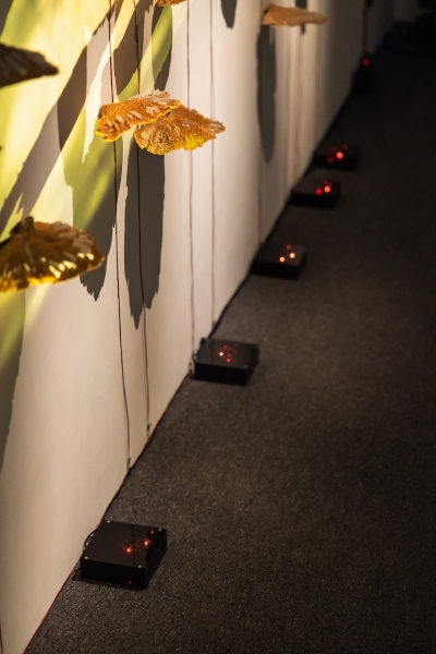 「三個太陽」個展｜胡農欣｜國藝會補助成果檔案庫