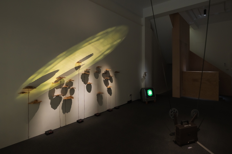 「三個太陽」個展｜胡農欣｜國藝會補助成果檔案庫