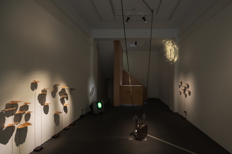 「三個太陽」個展｜胡農欣｜國藝會補助成果檔案庫