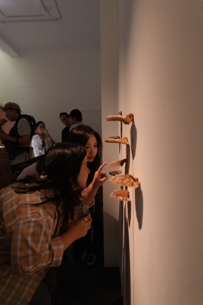 「三個太陽」個展｜胡農欣｜國藝會補助成果檔案庫