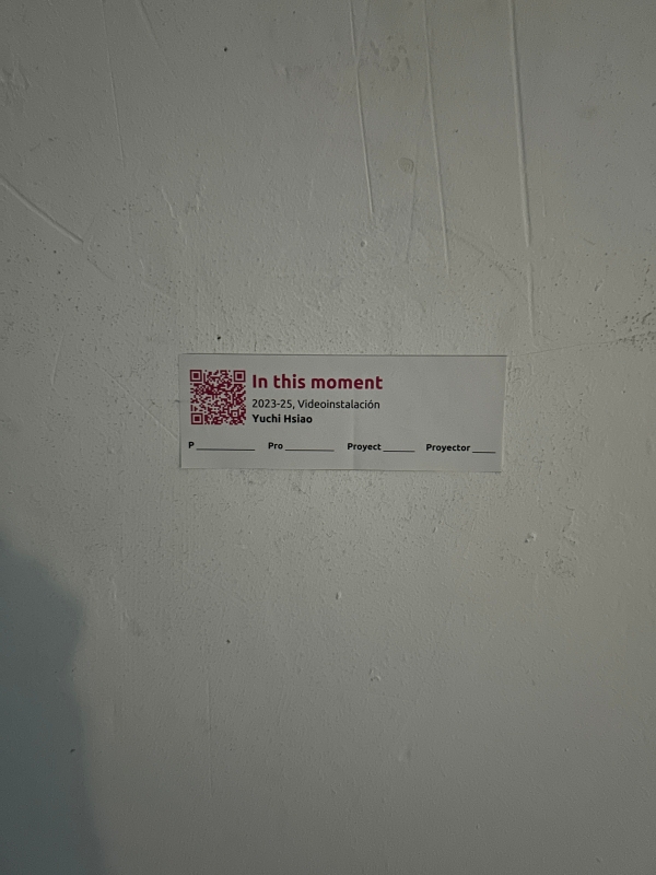 Proyector錄像藝術節參展交流計畫｜蕭禹琦｜國藝會補助成果檔案庫