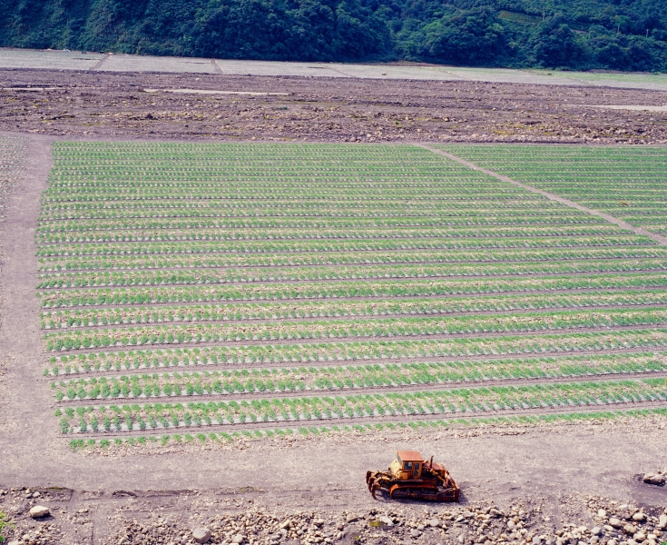 《水水蘭陽》｜楊哲一｜國藝會補助成果檔案庫