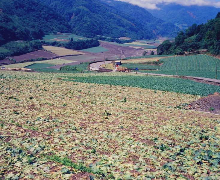 《水水蘭陽》｜楊哲一｜國藝會補助成果檔案庫