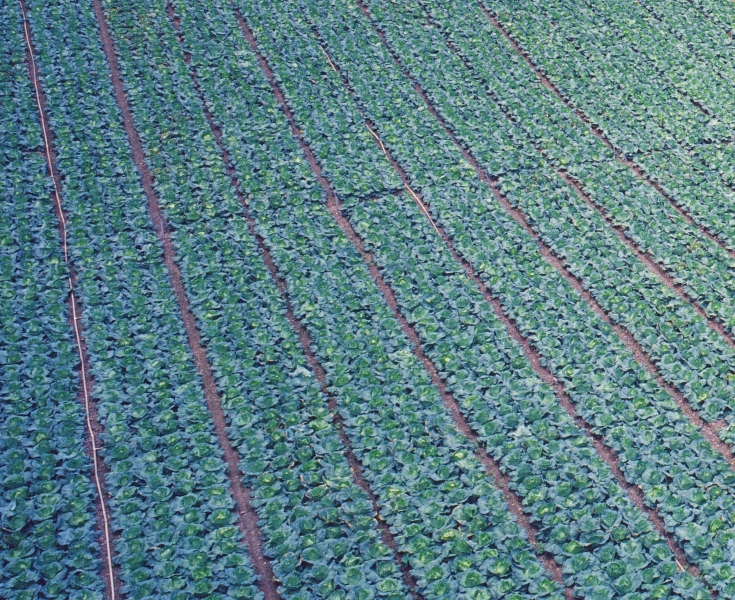 《水水蘭陽》｜楊哲一｜國藝會補助成果檔案庫