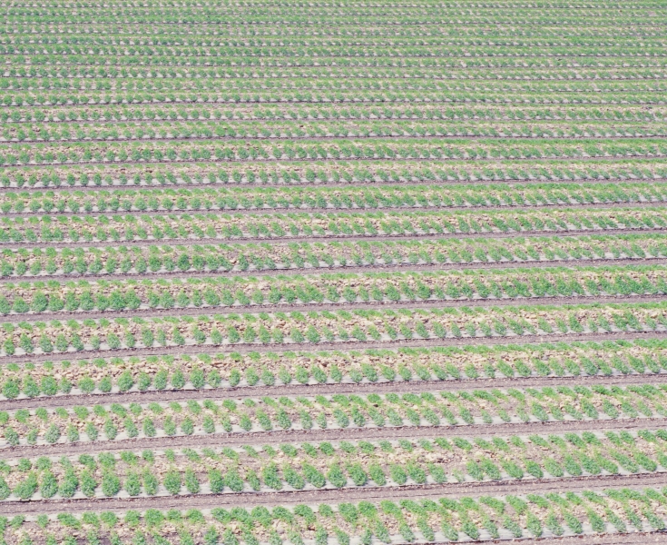 《水水蘭陽》｜楊哲一｜國藝會補助成果檔案庫