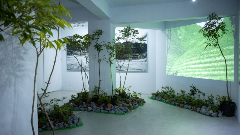 山水＜宜花＞｜楊哲一｜國藝會補助成果檔案庫