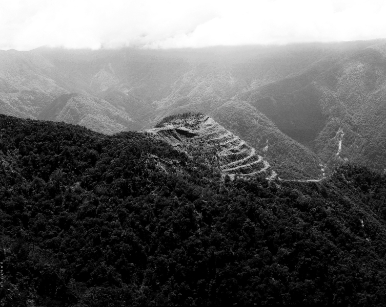 山水＜宜花＞｜楊哲一｜國藝會補助成果檔案庫