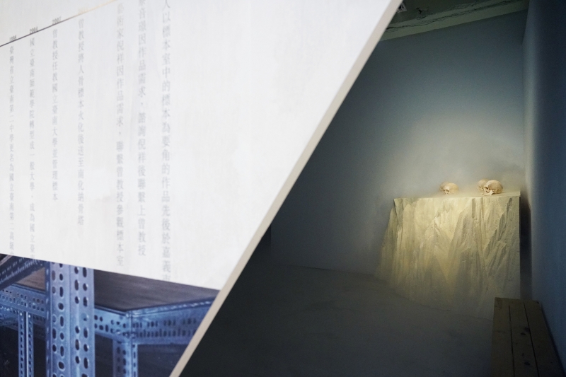蔡咅璟個展「研究室207」展場圖片：以圖層的概念，標本的歷史在研究室現狀的後面，而作品則在歷史的後面