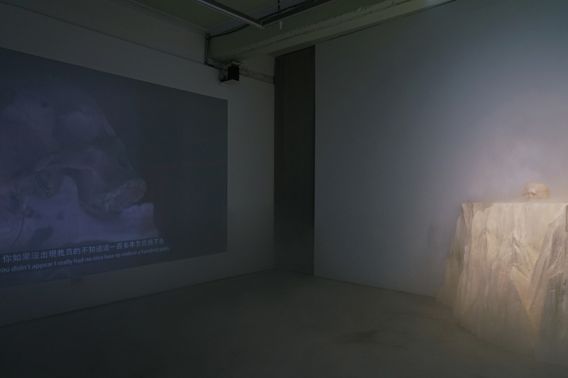 蔡咅璟個展「研究室207」作品：《不在研究室的標本》現場裝置，單頻道錄像，13'49''，2021