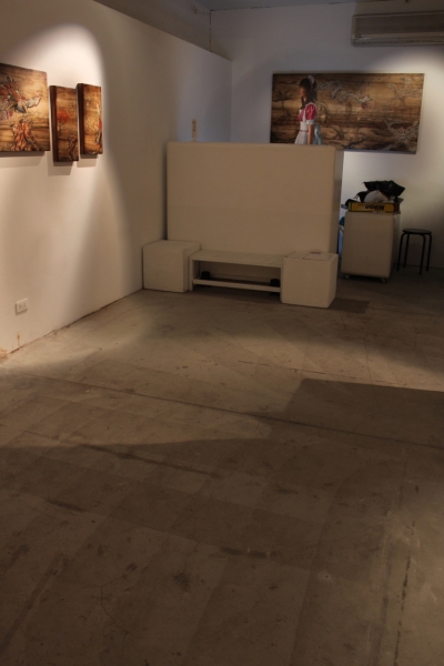 平面介入空間的真實體現－2013王鼎超 繪畫創作個展｜王鼎超｜國藝會補助成果檔案庫