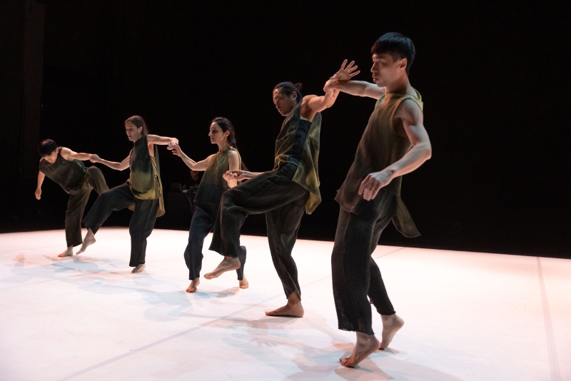 2025長弓舞蹈劇場《模糊的魚PECES BORROSOS》西班牙Auditorio De Tenerife共創合演計畫｜長弓舞蹈劇場｜國藝會補助成果檔案庫