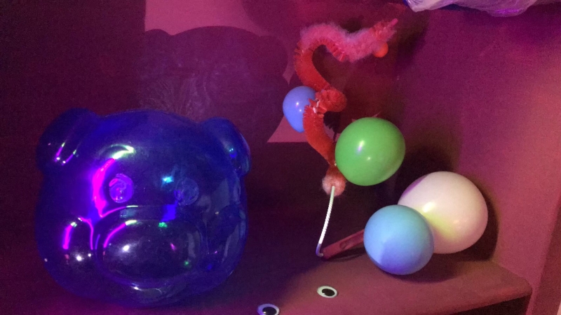 黃彥超「快感的享用-跨領域創作」作品：《快感的享用-材料》，豬公撲滿、氣球、所膠球，尺寸依場地而定，2021