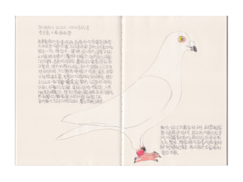 李立中個展「夜間飛行—台灣空戰記事 終章」作品：《鴿子 - TAIWAN 2020000565》，再生紙筆記本，A5，2020