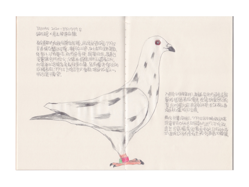 李立中個展「夜間飛行—台灣空戰記事 終章」作品：《鴿子 - TAIWAN 2020880779》，再生紙筆記本，A5，2020