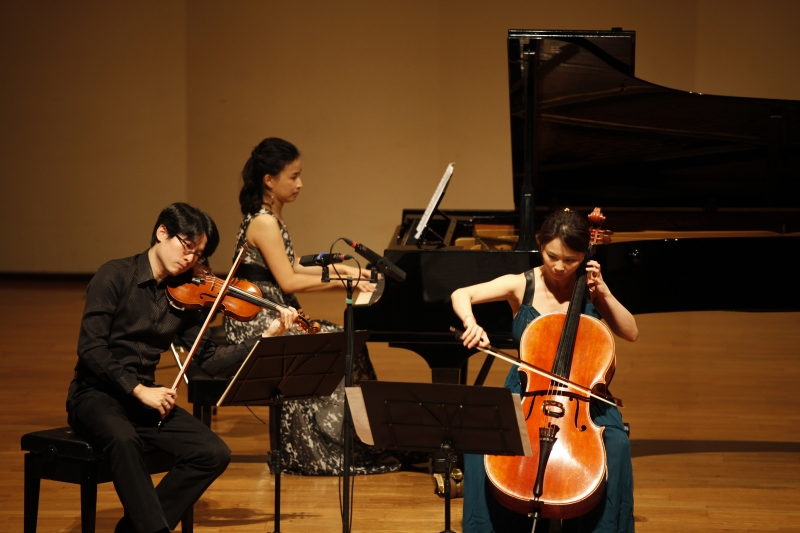 Muse 鋼琴三重奏音樂會-2016布拉姆斯系列｜VIO 提琴樂集｜國藝會補助成果檔案庫