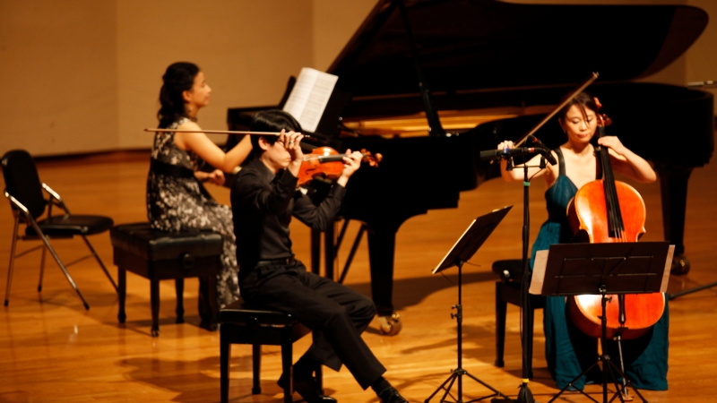 Muse 鋼琴三重奏音樂會-2016布拉姆斯系列｜VIO 提琴樂集｜國藝會補助成果檔案庫