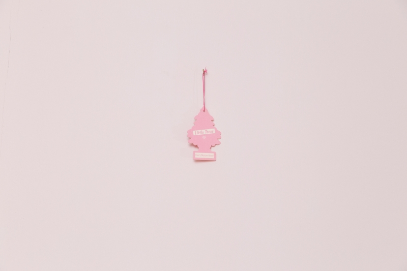 激情的方式 The method of passion｜尹子潔｜國藝會補助成果檔案庫