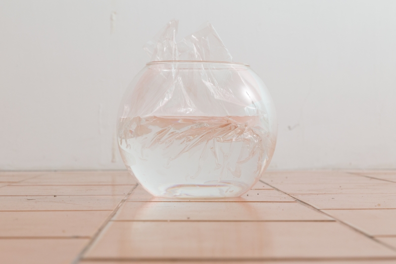 激情的方式 The method of passion｜尹子潔｜國藝會補助成果檔案庫