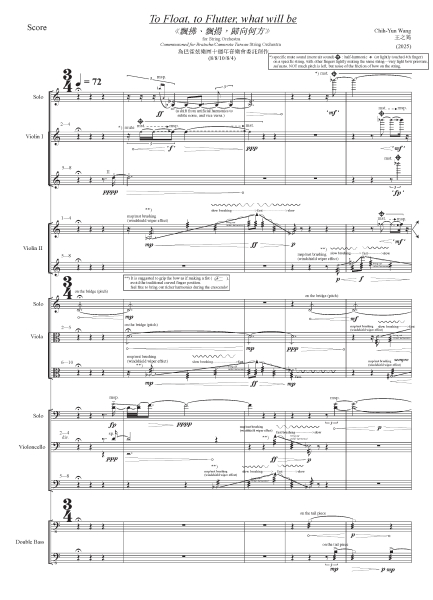 Camerata Taiwin 委託作曲家王之筠創作計畫｜巴雀藝術｜國藝會補助成果檔案庫