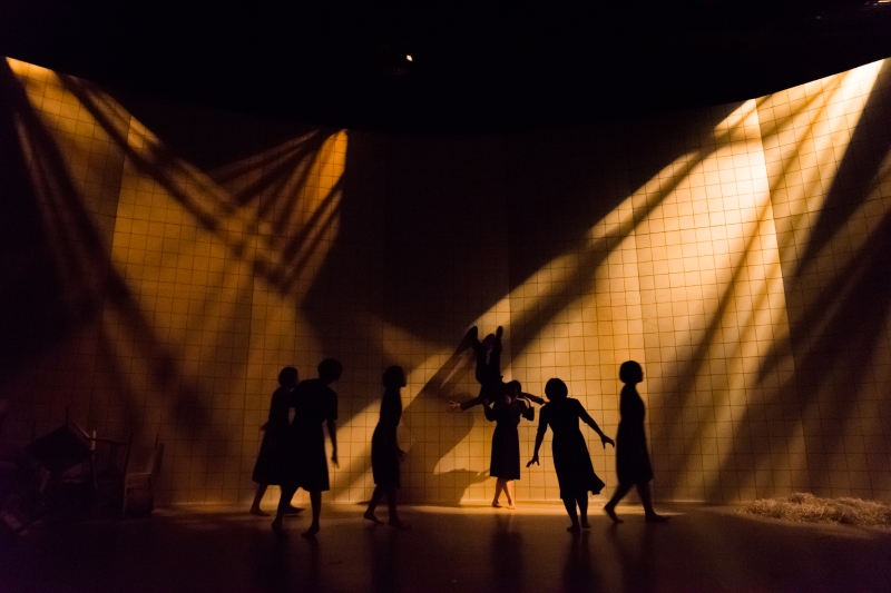 《單‧身》Singular 2014台北再現演出計畫｜稻草人現代舞蹈團｜國藝會補助成果檔案庫