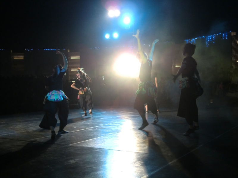 極至體能舞蹈團2010《新掌中芭蕾》、《狂野台》匯演計畫｜極至體能舞蹈團｜國藝會補助成果檔案庫