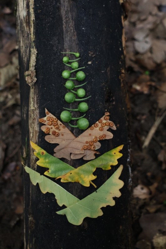 行跡之間——漂移於地景與感知的邊界｜王彥臻｜國藝會補助成果檔案庫