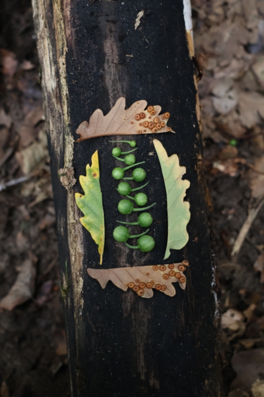 行跡之間——漂移於地景與感知的邊界｜王彥臻｜國藝會補助成果檔案庫