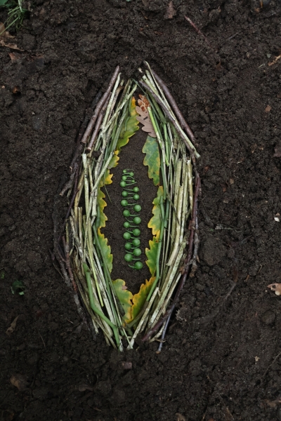 行跡之間——漂移於地景與感知的邊界｜王彥臻｜國藝會補助成果檔案庫