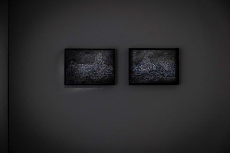 「Dura Mater 鎧甲女神——陳絲穎 個展」展覽計畫｜陳絲穎｜國藝會補助成果檔案庫