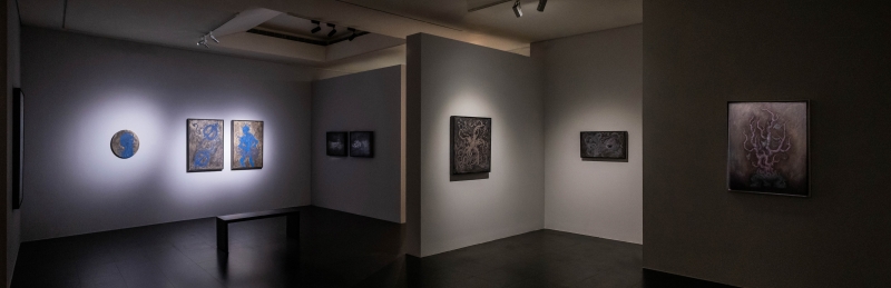 「Dura Mater 鎧甲女神——陳絲穎 個展」展覽計畫｜陳絲穎｜國藝會補助成果檔案庫
