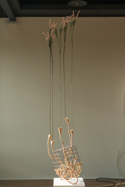 沒有一樣的時間給你 Disparate Bodies Divergent Time|陳呈毓|國藝會補助成果檔案庫