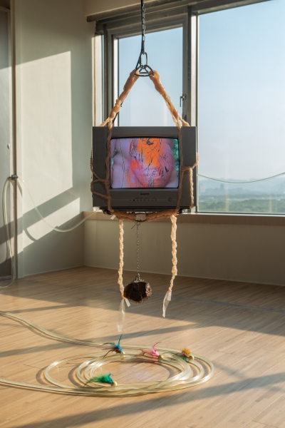 沒有一樣的時間給你 Disparate Bodies Divergent Time|陳呈毓|國藝會補助成果檔案庫