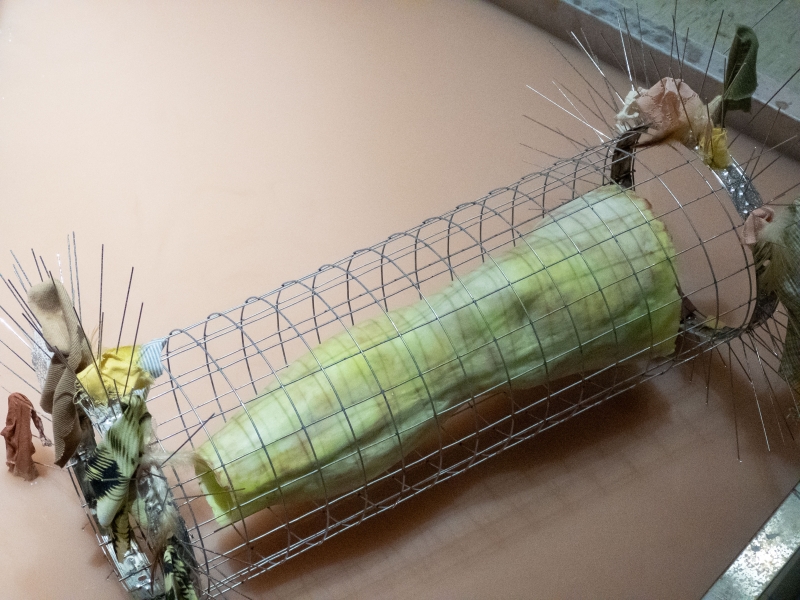 陳呈毓「沒有一樣的時間給你 Disparate Bodies Divergent Time」作品:《No skin for settlement - leg》,蠟、鐵網、防鳥刺、織品、羽毛,75x45x45 cm,2024