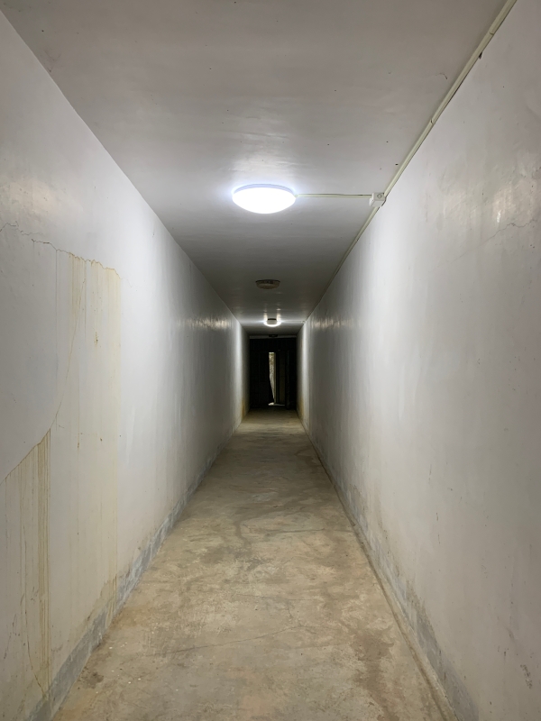 《同聲複調》多重藝術學科整合與轉譯的歷史軌跡｜捌號會所｜國藝會補助成果檔案庫