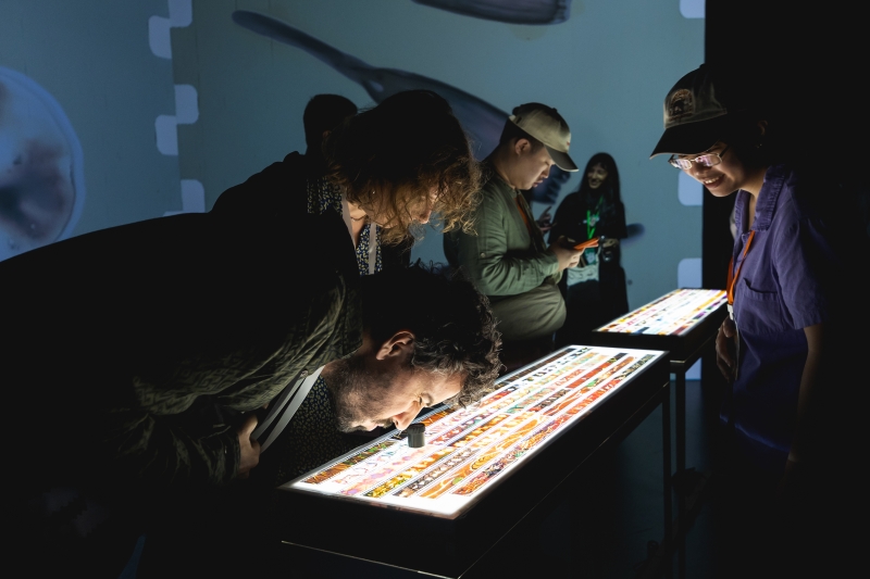 受邀參與泰國 SiamANIMA 國際動畫影展：團體展覽、實驗底片工作坊與短片放映交流計畫 ｜蔡易錦｜國藝會補助成果檔案庫