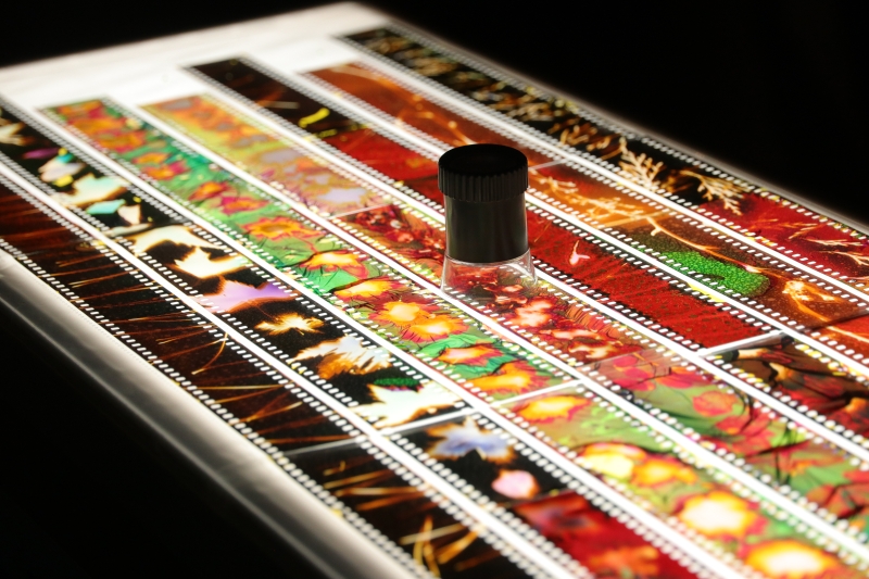 受邀參與泰國 SiamANIMA 國際動畫影展：團體展覽、實驗底片工作坊與短片放映交流計畫 ｜蔡易錦｜國藝會補助成果檔案庫