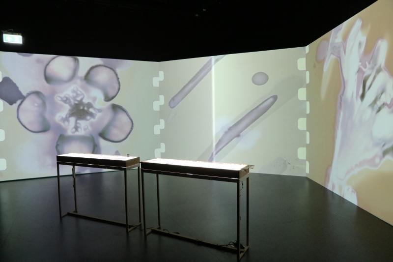 受邀參與泰國 SiamANIMA 國際動畫影展：團體展覽、實驗底片工作坊與短片放映交流計畫 ｜蔡易錦｜國藝會補助成果檔案庫