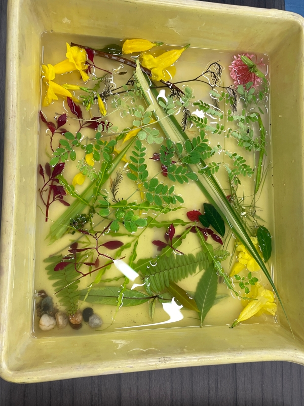 受邀參與泰國 SiamANIMA 國際動畫影展：團體展覽、實驗底片工作坊與短片放映交流計畫 ｜蔡易錦｜國藝會補助成果檔案庫