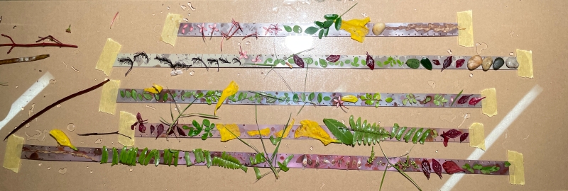 受邀參與泰國 SiamANIMA 國際動畫影展：團體展覽、實驗底片工作坊與短片放映交流計畫 ｜蔡易錦｜國藝會補助成果檔案庫